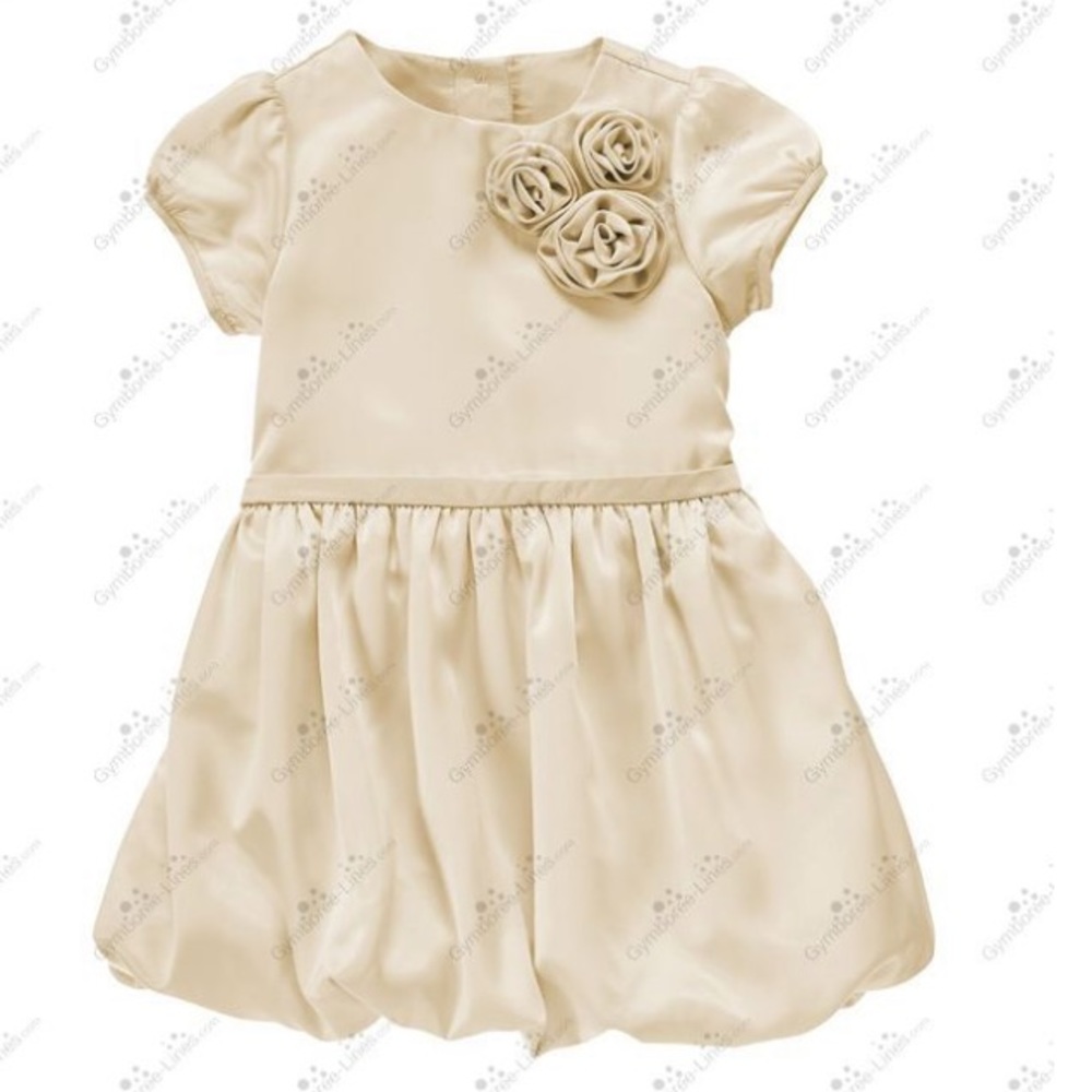 Janie and Jack Silky Rose Dress